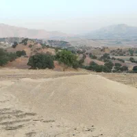 کاه خرمن کوب ریز گوسفندی
