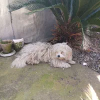 فروشی فقط بخاطر نداشتن جا قیمت خوب داده میشود