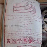دی آمینیوم اصل