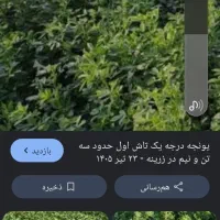 فروش یونجه پرس شده