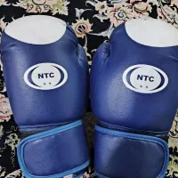 دست کش بکس