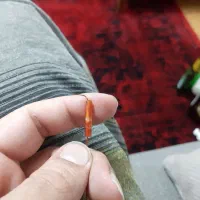 مهره|کلکسیون اشیاء عتیقه|ایلام, |دیوار