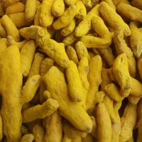 عمده ادویه و سبزیجات خشک