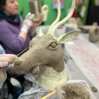 آموزش پاپیه ماشه در ساری