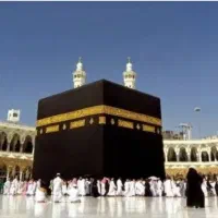 ۱عددفیش تمتع