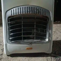 بخاری سالم و درحد نو