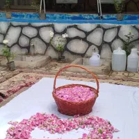گلاب. و عرقیجات