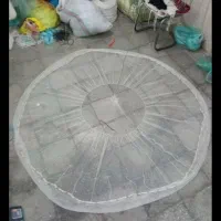 تورسالیک ابریشمی ماهیگیری رودخانه
