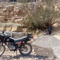 موتور پیشرو90 تریل