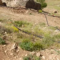 نیرو کار جهت کار در باغ‌