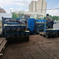 پنیر آرتا لبن صفدری بیرق