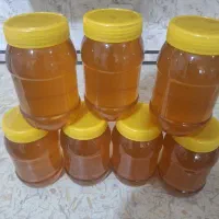 عسل بهاره.چهل گیاه.کنار.گاوپونه