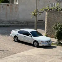 ماکسیما خوش رخ بسیار تمیز