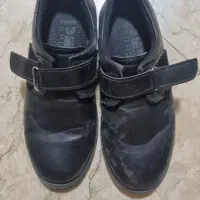 کفش مجلسی
