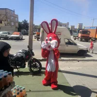 تن پوش عروسکی