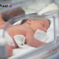 اجاره ی دستگاه‌ زردی نوزاد (فتوتراپی)۶۰۰هزارتومان|خدمات زیبایی و سلامت|کرج, گلشهر|دیوار