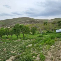 زمین 710 متری نجم آباد