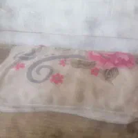 پتو وانتی