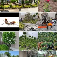 خدمات باغبانی و سمپاشی آبسرد گیلاوند مشاء