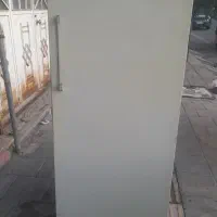 یخچال ارج سالم