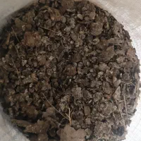 فروش کود کبوتر