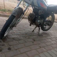 خرید و فروش انواع کبوتر
