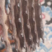 یک عددستار دوچرخه