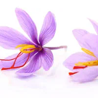 زعفرون  سوپر گرمی ۳۸۰ هزار  تومن