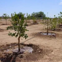 ابیاری قطره‌ای بارانی مهپاش استخرفروش لوله سراسری