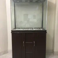 آکواریوم شرکتی ماهیران