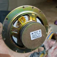 باند رودری پژو