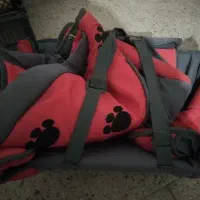 خانه ی سگ