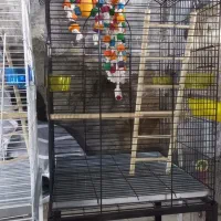 قفس مخصوص طوطی های بزرگ(کاکادو ،آرا و هم رده ها)