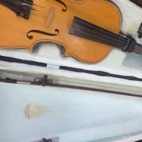 ویالن|ویولن|رشت, حمیدیان|دیوار