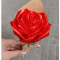 گل ربانی|گل مصنوعی|پاکدشت, پاکدشت (مامازند)|دیوار
