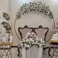 بله برون ، تم تولد
