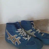 کفش کشتی