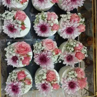 ظرف شیشه ای کیک