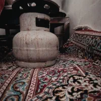 پیک نیک|اجاق گاز و لوازم برقی پخت‌وپز|ملایر, |دیوار