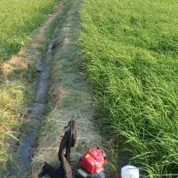 لوله نخدار ۴ونیم اینچ و ۳ونیم اینچ