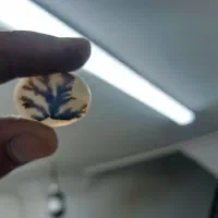 سنگ شجر