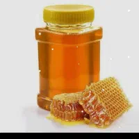 عسل 300|خوردنی و آشامیدنی|زنجان, |دیوار
