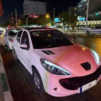 207پانا بی رنگ 1400
