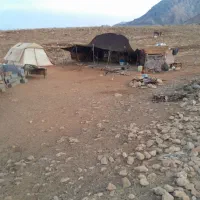 سیاه چادر