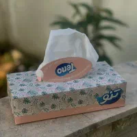 دستمال صد برگ تنو نصف قیمت بازار