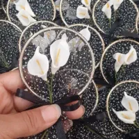 گیفت محرمی