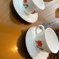 فنجان و نعلبکی آرکوپال نو