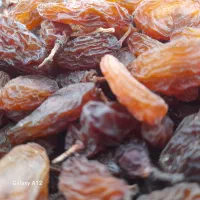 کشمش گوشتی درجه یک ۱تن موجود میباشد