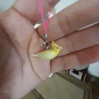 فون چارم