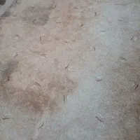 موکت ظریف مصور